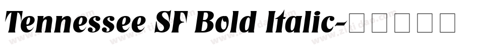 Tennessee SF Bold Italic字体转换